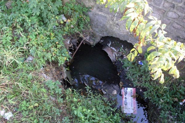 Dobrze, że fotografia nie przenosi zapachów...