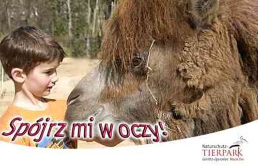 marcinowe-swieto-w-naszym-zoo-z-mnostwem-atrakcji-49228