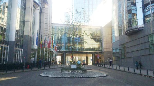 o-partnerstwie-miast-w-brukseli-z-naszym-udziaem-foto-49387