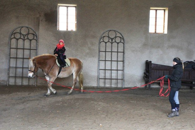 swiateczne-pierniki-zawadney-omnica-foto-49396
