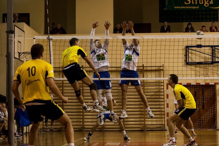 olimpia-poskromia-tygrysy-foto-49409