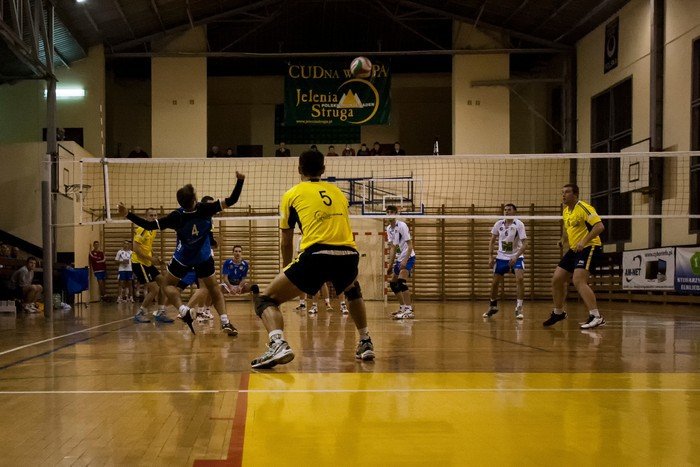 olimpia-poskromia-tygrysy-foto-49409