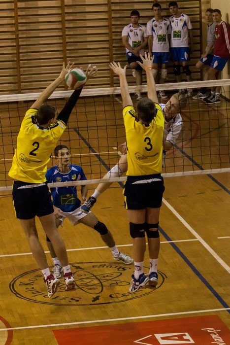 olimpia-poskromia-tygrysy-foto-49409
