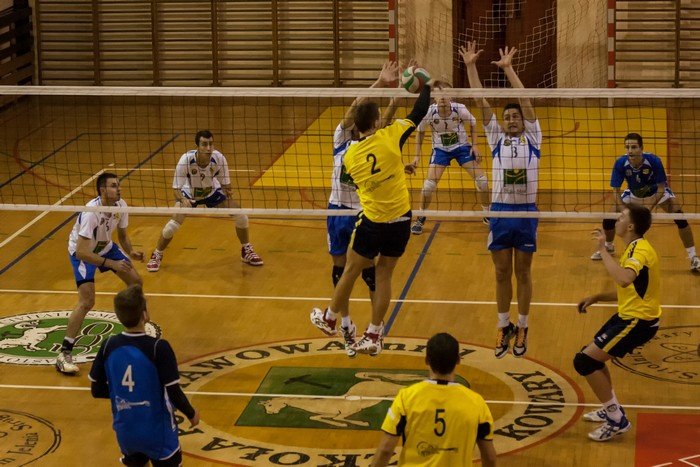 olimpia-poskromia-tygrysy-foto-49409