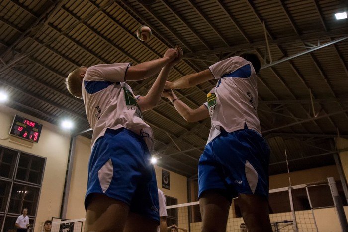 olimpia-poskromia-tygrysy-foto-49409