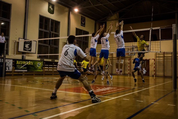 olimpia-poskromia-tygrysy-foto-49409