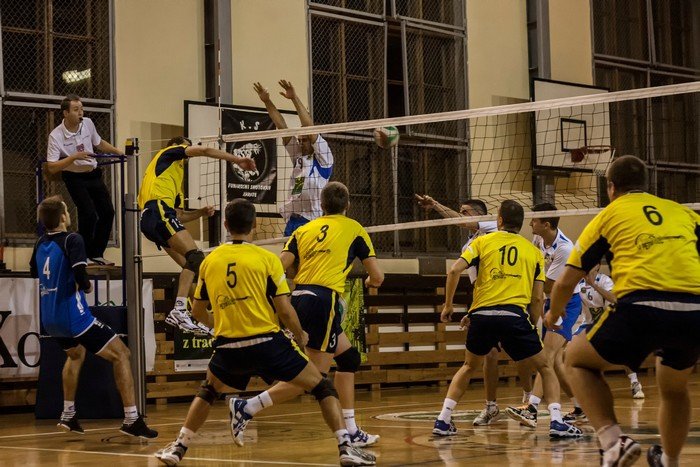 olimpia-poskromia-tygrysy-foto-49409