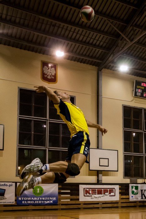 olimpia-poskromia-tygrysy-foto-49409