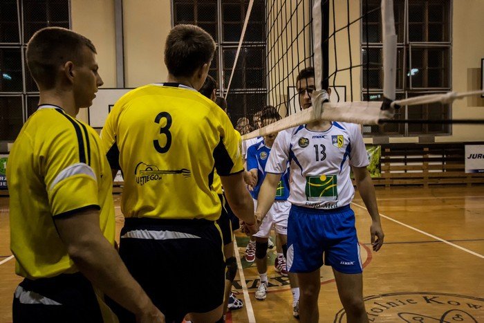 olimpia-poskromia-tygrysy-foto-49409