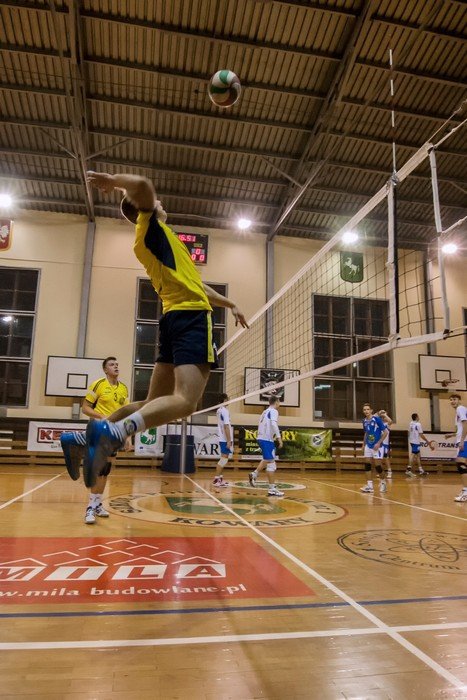 olimpia-poskromia-tygrysy-foto-49409