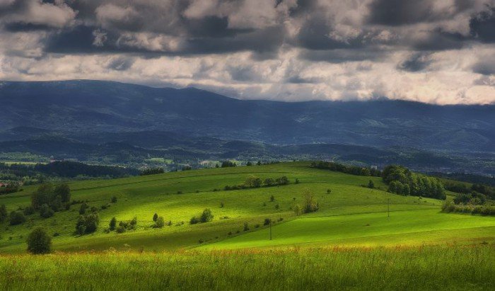 juz-jutro-wielkie-zwiedzanie-zakatkow-dziwiszowa-foto-49472