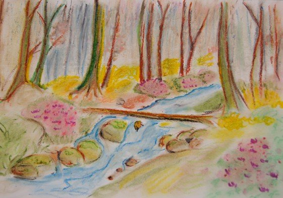 pieknie-namalowali-przyrode-regionu-foto-49582