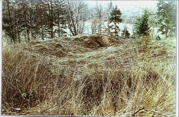 o-grodzisku-w-grabarach-foto-49623