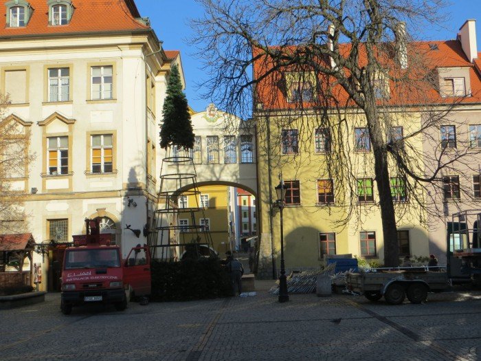 na-placu-ratuszowym-juz-rosnie-choinka-foto-49641