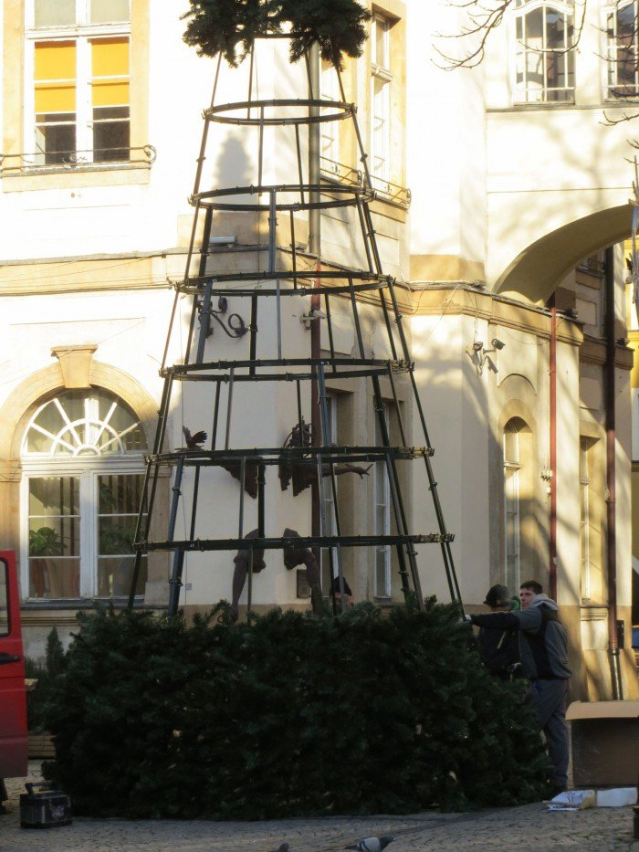 na-placu-ratuszowym-juz-rosnie-choinka-foto-49641