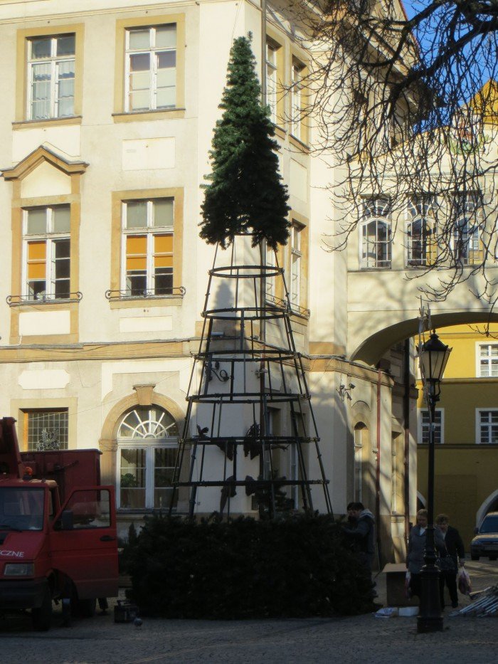 na-placu-ratuszowym-juz-rosnie-choinka-foto-49641
