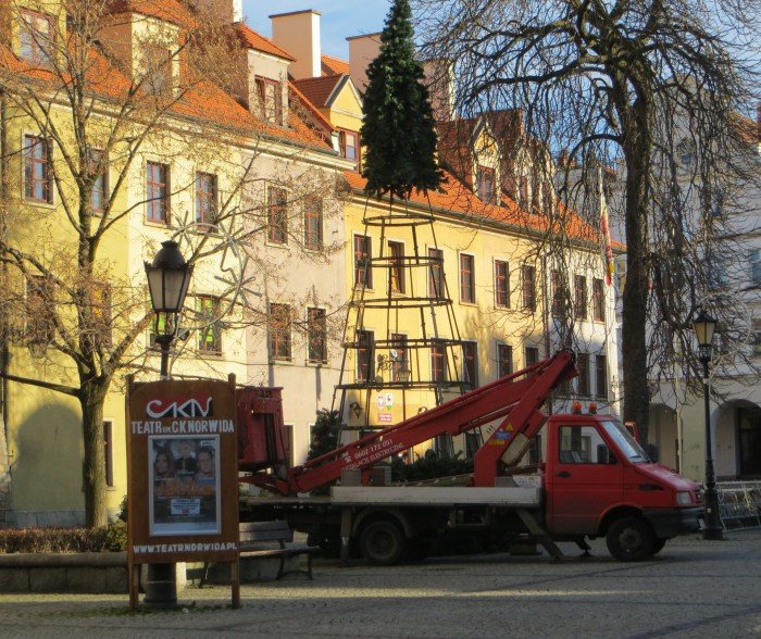 na-placu-ratuszowym-juz-rosnie-choinka-foto-49641