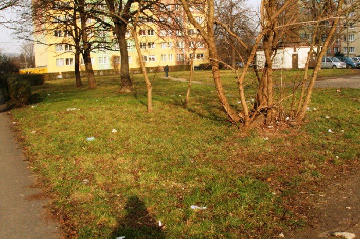 mieszkancy-od-dwoch-miesiecy-zyjemy-wsrod-smieci-foto-49683