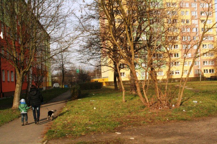 mieszkancy-od-dwoch-miesiecy-zyjemy-wsrod-smieci-foto-49683