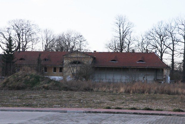 palmiarnia-schaffgotschow-popada-w-ruine-foto-49958