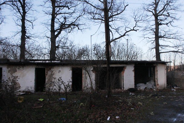 palmiarnia-schaffgotschow-popada-w-ruine-foto-49958