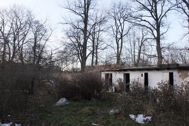 palmiarnia-schaffgotschow-popada-w-ruine-foto-49958