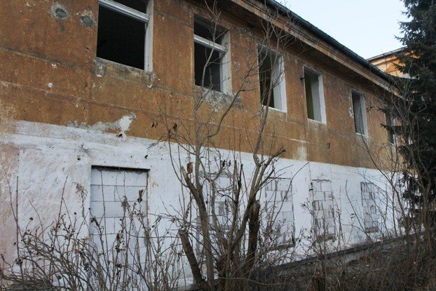 palmiarnia-schaffgotschow-popada-w-ruine-foto-49958