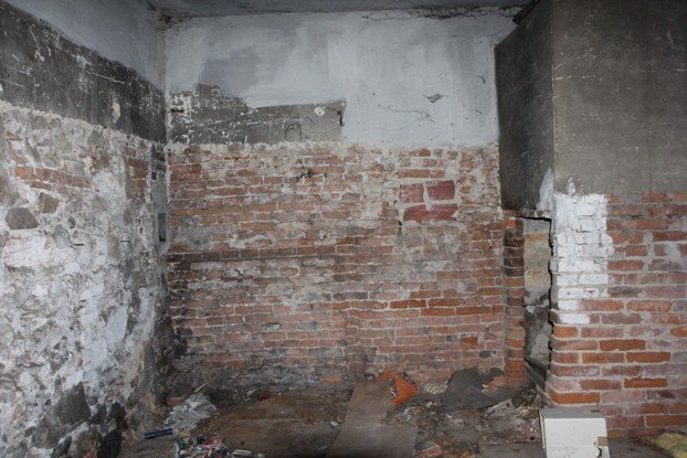 palmiarnia-schaffgotschow-popada-w-ruine-foto-49958