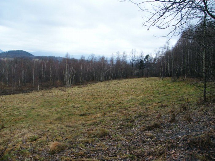 skocznia-narciarska-w-jeleniej-gorze-zapomniana-i-zaniedbana-foto-49964