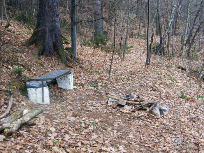 skocznia-narciarska-w-jeleniej-gorze-zapomniana-i-zaniedbana-foto-49964
