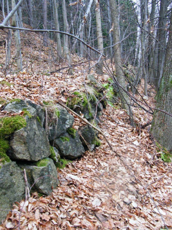 skocznia-narciarska-w-jeleniej-gorze-zapomniana-i-zaniedbana-foto-49964