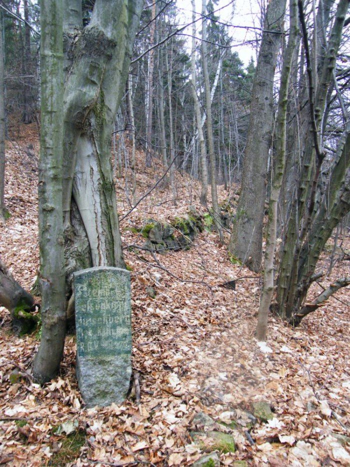 skocznia-narciarska-w-jeleniej-gorze-zapomniana-i-zaniedbana-foto-49964