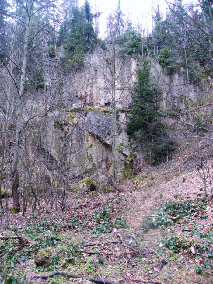 skocznia-narciarska-w-jeleniej-gorze-zapomniana-i-zaniedbana-foto-49964