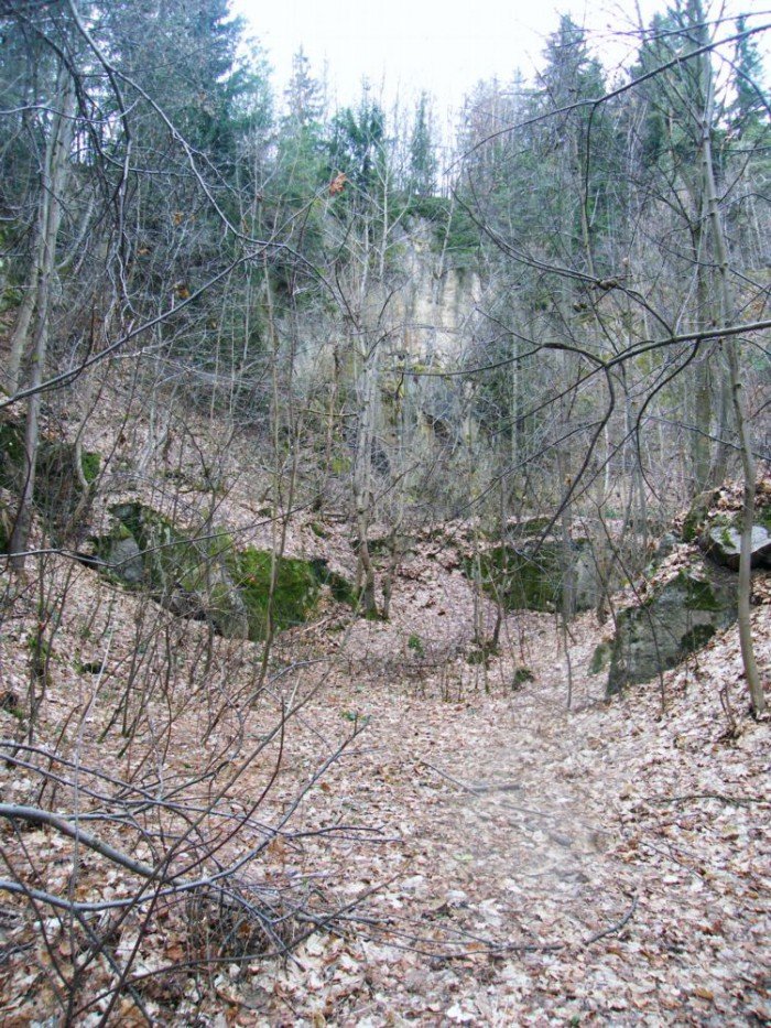 skocznia-narciarska-w-jeleniej-gorze-zapomniana-i-zaniedbana-foto-49964