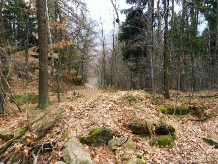 skocznia-narciarska-w-jeleniej-gorze-zapomniana-i-zaniedbana-foto-49964