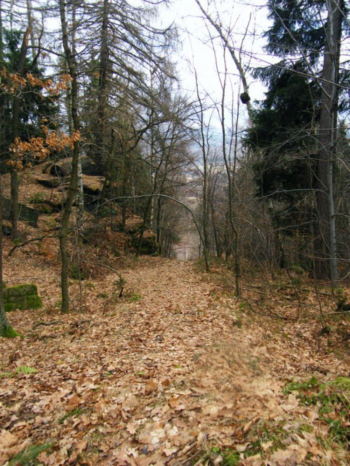 skocznia-narciarska-w-jeleniej-gorze-zapomniana-i-zaniedbana-foto-49964