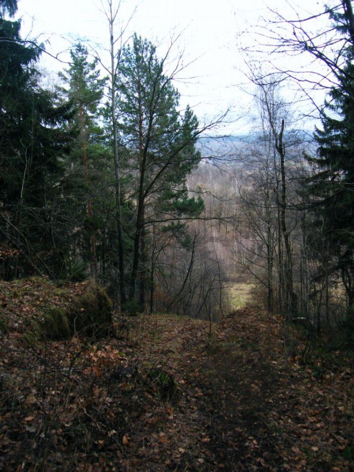 skocznia-narciarska-w-jeleniej-gorze-zapomniana-i-zaniedbana-foto-49964