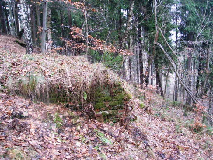 skocznia-narciarska-w-jeleniej-gorze-zapomniana-i-zaniedbana-foto-49964