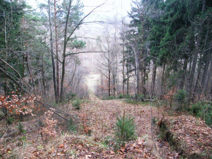 skocznia-narciarska-w-jeleniej-gorze-zapomniana-i-zaniedbana-foto-49964