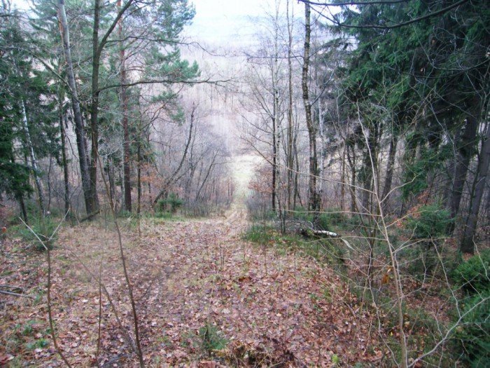 skocznia-narciarska-w-jeleniej-gorze-zapomniana-i-zaniedbana-foto-49964