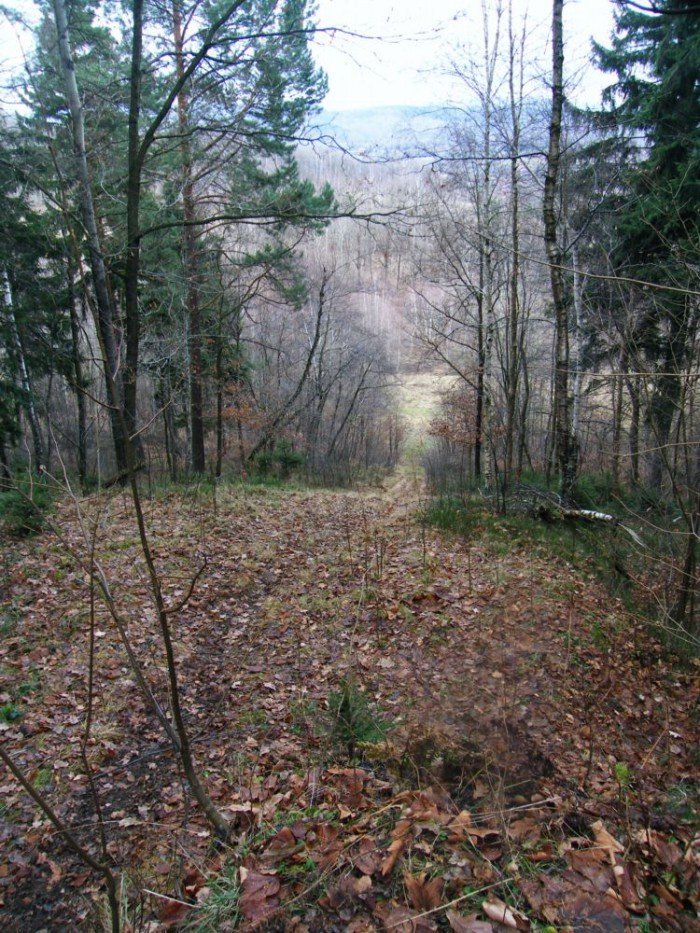 skocznia-narciarska-w-jeleniej-gorze-zapomniana-i-zaniedbana-foto-49964