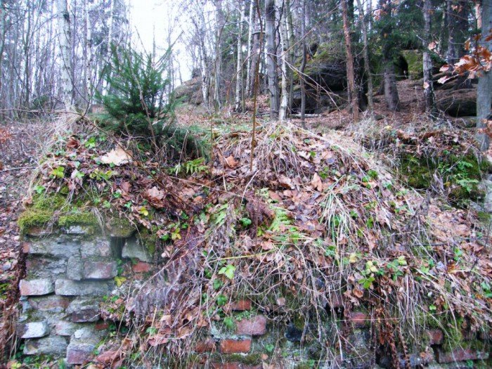 skocznia-narciarska-w-jeleniej-gorze-zapomniana-i-zaniedbana-foto-49964
