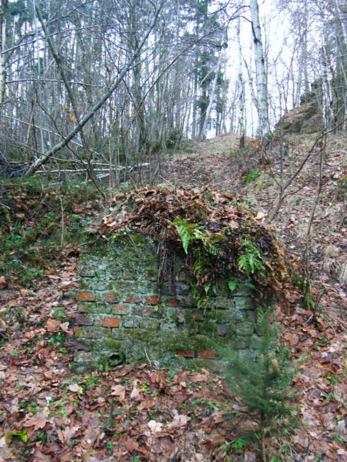 skocznia-narciarska-w-jeleniej-gorze-zapomniana-i-zaniedbana-foto-49964