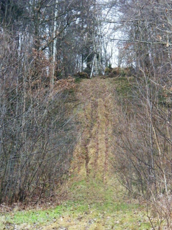 skocznia-narciarska-w-jeleniej-gorze-zapomniana-i-zaniedbana-foto-49964