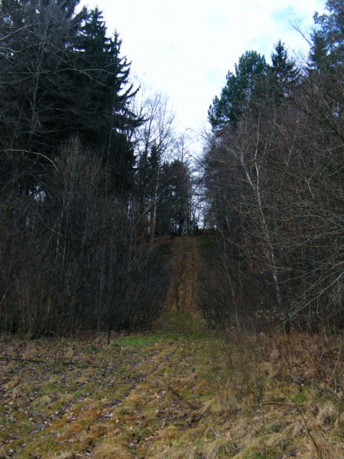 skocznia-narciarska-w-jeleniej-gorze-zapomniana-i-zaniedbana-foto-49964
