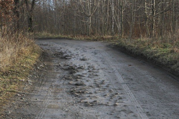 droga-z-cieplic-do-staniszowa-to-dziura-na-dziurze-foto-49991