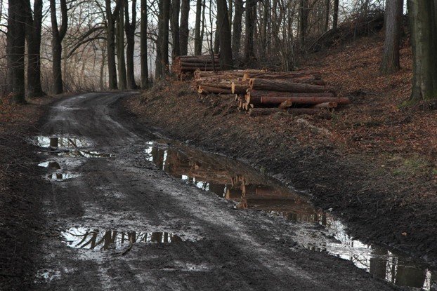 droga-z-cieplic-do-staniszowa-to-dziura-na-dziurze-foto-49991