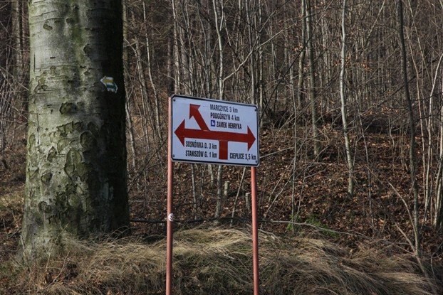 droga-z-cieplic-do-staniszowa-to-dziura-na-dziurze-foto-49991