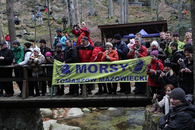 wodne-harce-morsow-i-bieg-icemana-w-przesiece-foto-50011