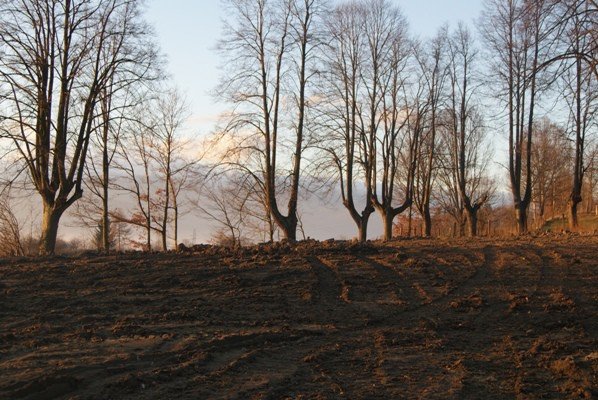 upamietnia-dawnych-mieszkancow-goduszyna-foto-50078